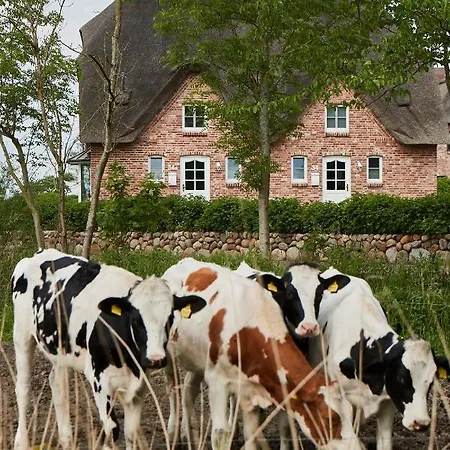 House Reetdachhaus House 2 * Tating
