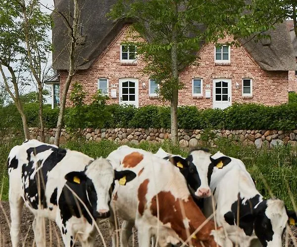 House Reetdachhaus House 2 * Tating